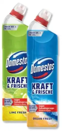 Budni Domestos WC Gel Angebot