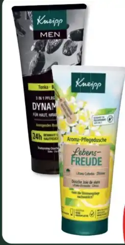 Budni Kneipp Duschgel Angebot