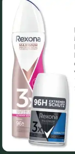 Budni Rexona Maximum Protection Deospray Angebot