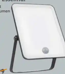 Globus Baumarkt LED Außenleuchte Flood Essential Angebot
