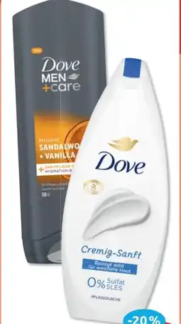 Budni Dove Duschgel Angebot