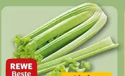 REWE Rewe Beste Wahl Staudensellerie Angebot