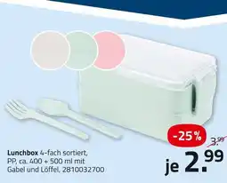 ROLLER Lunchbox Angebot
