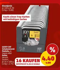 PENNY Lucky cat schalenmenü pastete Angebot