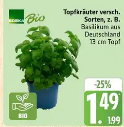 Marktkauf Edeka bio topfkräuter Angebot