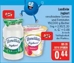 Marktkauf Landliebe joghurt 3.8% fett Angebot