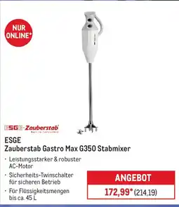 METRO ESGE-Zauberstab Zauberstab Gastro Max G350 Stabmixer Angebot