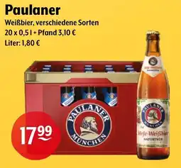 Getränke Hoffmann Paulaner Weißbier, verschiedene Sorten Angebot