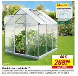toom Baumarkt Gewächshaus ,,Michelle" Angebot