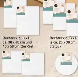 Aldi Nord Home Creation Blanko Leinwände Angebot