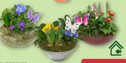 Aldi Nord Gardenline Glas-Frühlingsschale Angebot