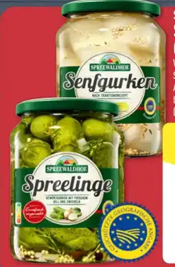 Aldi Nord Spreewaldhof Spreewälder Gurken Angebot
