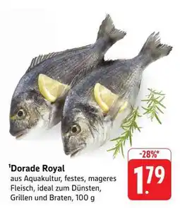 Edeka Dorade Royal Angebot