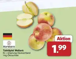 Famila Nord Ost Tafeläpfel Wellant Angebot