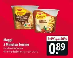 Famila Nord Ost Maggi 5-Minuten-Terrine Angebot