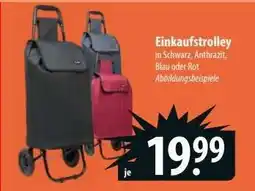 Famila Nord Ost Einkaufstrolley Angebot