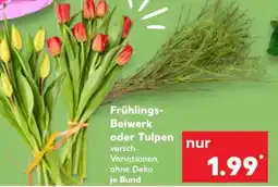 Kaufland Frühlings-Beiwerk oder Tulpen Angebot