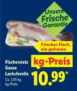 Lidl Fischerstolz Ganze Lachsforelle Angebot
