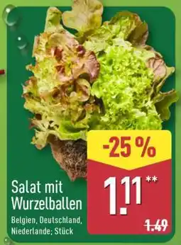 Aldi Nord Salat mit Wurzelballen Angebot