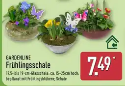 Aldi Nord GARDENLINE Frühlingsschale Angebot
