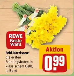 REWE Feld-Narzissen Angebot