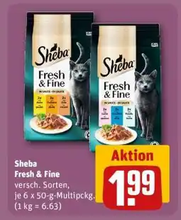 REWE Sheba Fresh & Fine Angebot