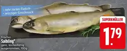 Edeka Frischer Saibling Angebot