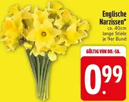 Edeka Englische Narzissen Angebot