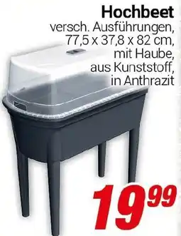 CENTERSHOP Hochbeet Angebot