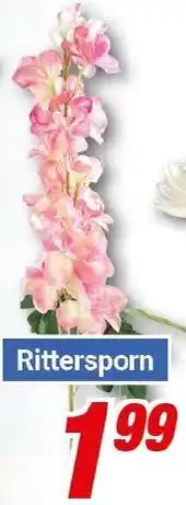 CENTERSHOP Rittersporn Angebot