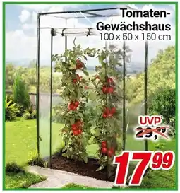 CENTERSHOP Tomaten Gewächshaus Angebot