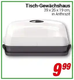 CENTERSHOP Tisch-Gewächshaus Angebot