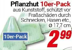 CENTERSHOP Pflanzhut Angebot