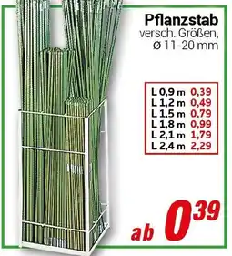 CENTERSHOP Pflanzstab Angebot