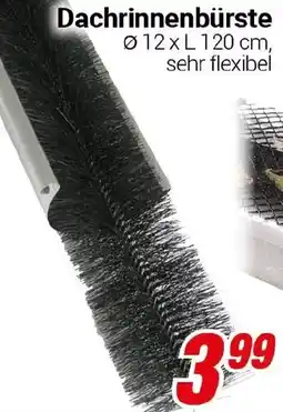 CENTERSHOP Dachrinnenbürste Angebot