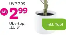 Mömax Übertopf „LUIS" Angebot