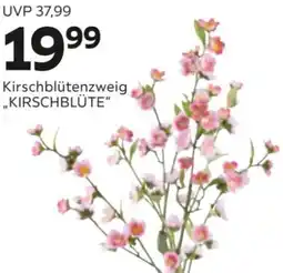 Mömax Kirschblütenzweig „KIRSCHBLÜTE" Angebot