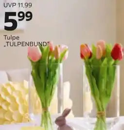 Mömax Tulpe ,,TULPENBUND" Angebot