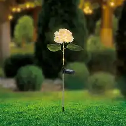 NKD Solar-Stab Blume, Höhe ca. 70 cm Angebot
