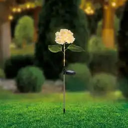 NKD Solar-Stab Blume, Höhe ca. 70 cm Angebot