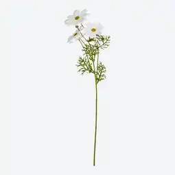 NKD Kunstblume Cosmea, Länge ca. 60 cm Angebot