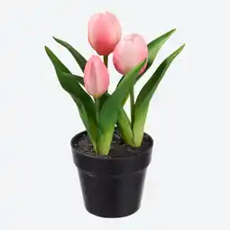 NKD Kunstblume Tulpe im Topf, Ø ca. 9, Höhe ca. 23 cm Angebot