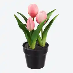 NKD Kunstblume Tulpe im Topf, Ø ca. 9, Höhe ca. 23 cm Angebot