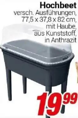CENTERSHOP Hochbeet Angebot