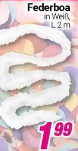 CENTERSHOP Federboa Angebot