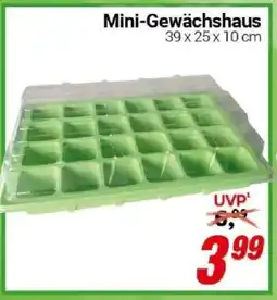 CENTERSHOP Mini-Gewächshaus Angebot