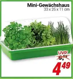 CENTERSHOP Mini-Gewächshaus Angebot