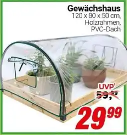 CENTERSHOP Gewächshaus Angebot