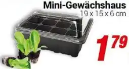 CENTERSHOP Mini-Gewächshaus Angebot