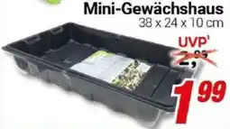 CENTERSHOP Mini-Gewächshaus Angebot